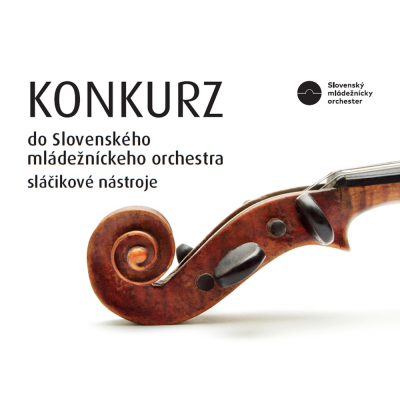 Foto: Slovenský mládežnícky orchester – konkurz do skupín sláčikových nástrojov