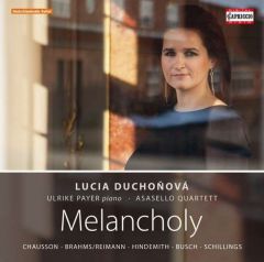 Foto 1: Melancholy - L. Duchoňová