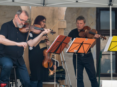 Photo: The strings are playing